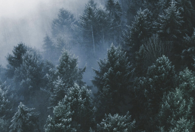 Vastuullista vuotta 2025